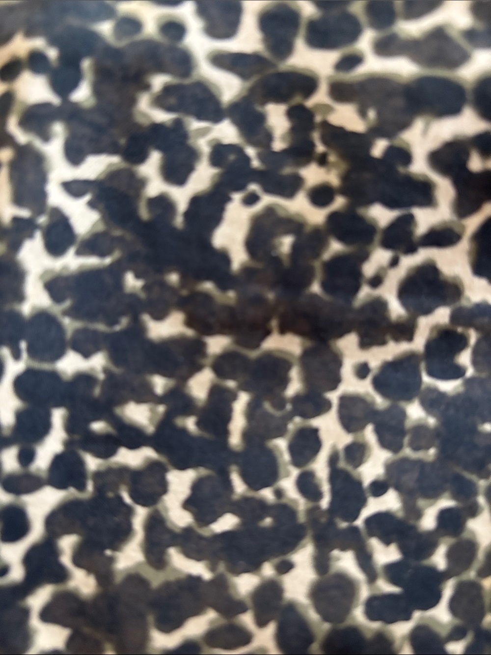 Ann Taylor Leopard Pencil Skirt - Black and Tan - Picture 3 of 5